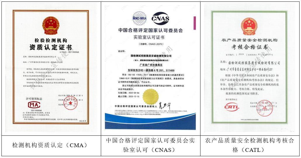 中國(guó)國(guó)檢測(cè)試控股集團(tuán) 引領(lǐng)環(huán)保技術(shù)咨詢與服務(wù)的卓越獲證單位